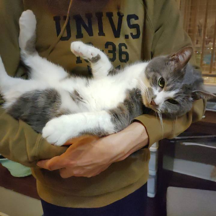 95170b1c 1127 457d ade5 50a1c0114bd2 1680526734828