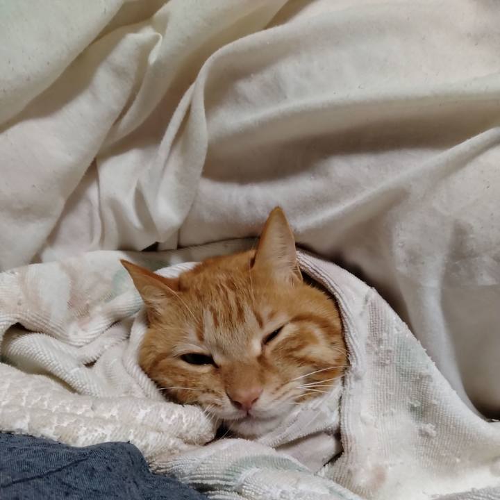 9517827f 81b8 4dcd bd89 09d830e9d1a0 1710244910730