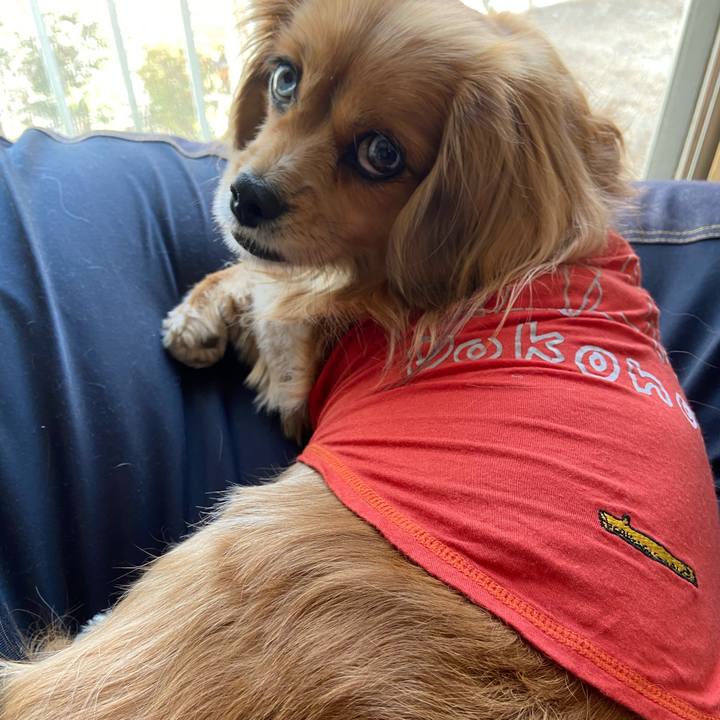 9517a2f6 4aa1 4854 97fa e4fc3903169d 1608511386170