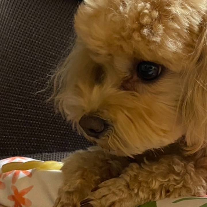 9517b0b8 916d 4c29 a2c1 09210f96b4db 1708335864977