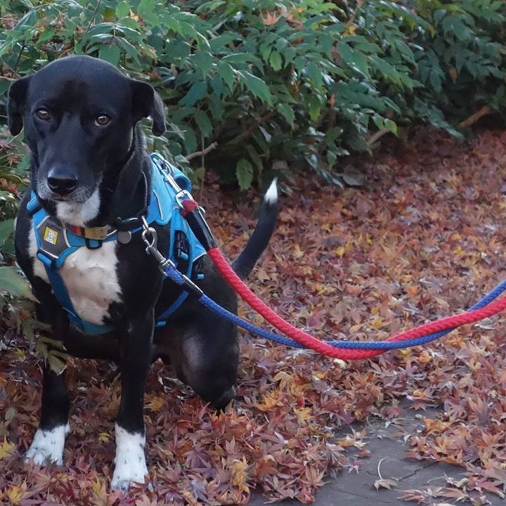 9517b76d 547f 4d0a 8b81 686d3e303672 1608423032105