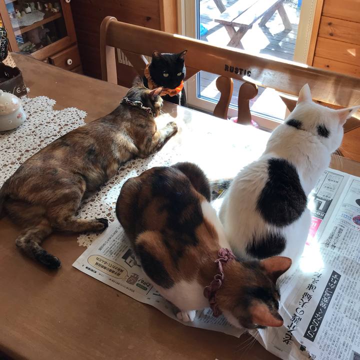 9517b99f 8d46 4964 aec1 4c2f5777d462 1631660518216