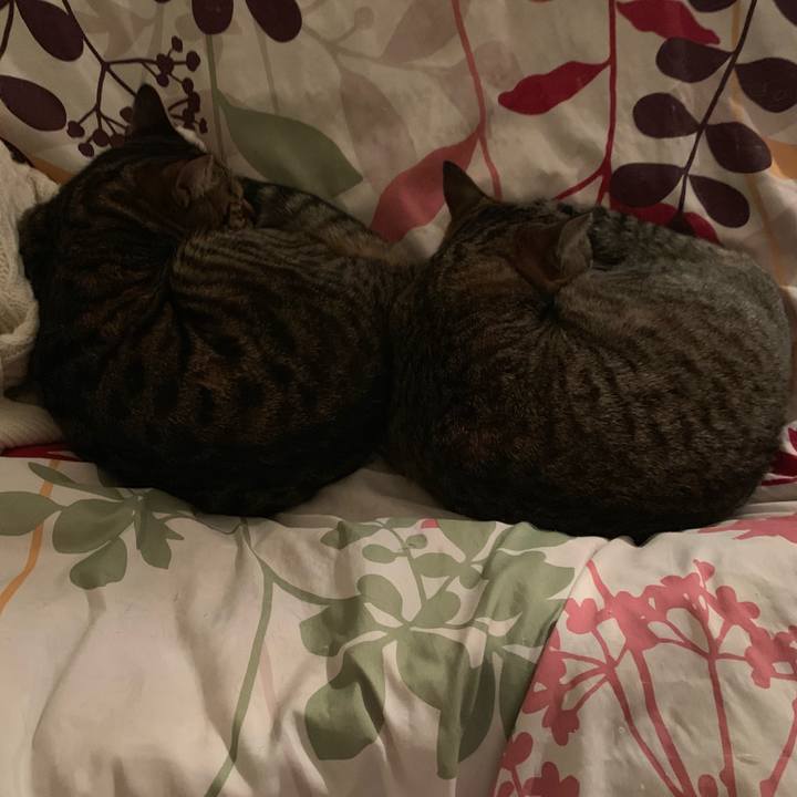 9517eed9 9692 425a b59d a162bba8919b 1551753374905