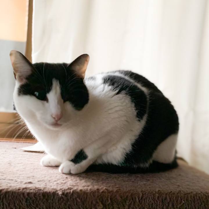 95183253 73d1 400b 9cd9 8b38c5542e2f 1580349543160