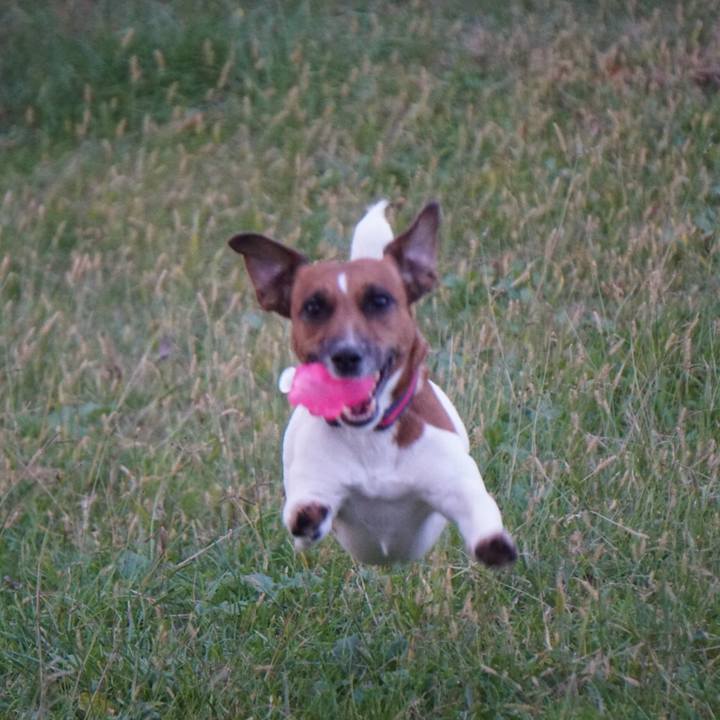 95183319 0229 496f b42a 5b12a85e9c85 1509404209644