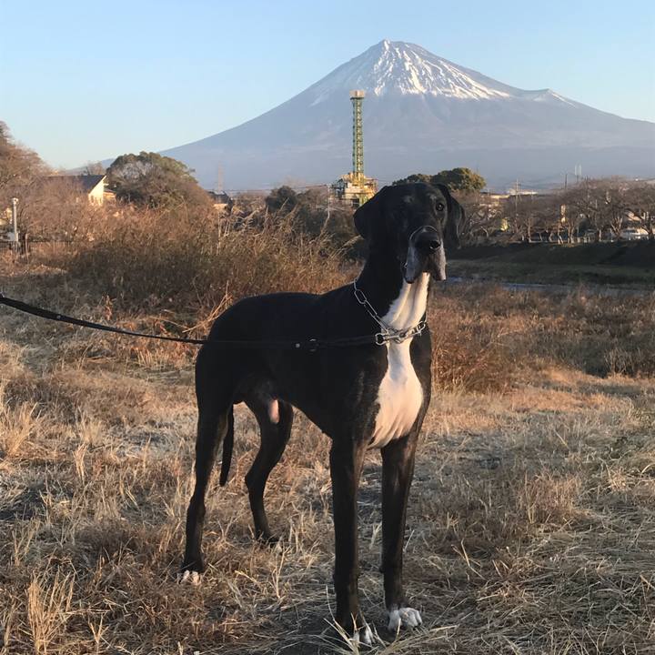 951877a2 5153 4a81 b2de 904f86f9492b 1514002202028