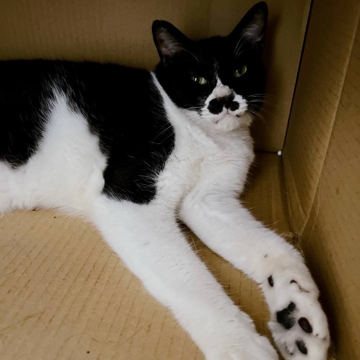 9518b63b c4ce 4dd0 a5f1 532fe608c641 1694563978521