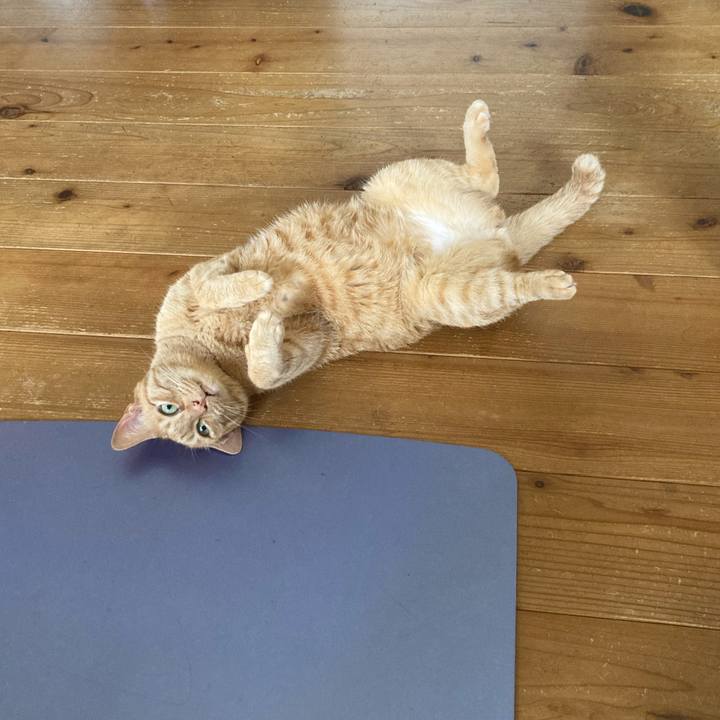 9518c04d b331 45aa a6a5 0c70502d3602 1657198455685