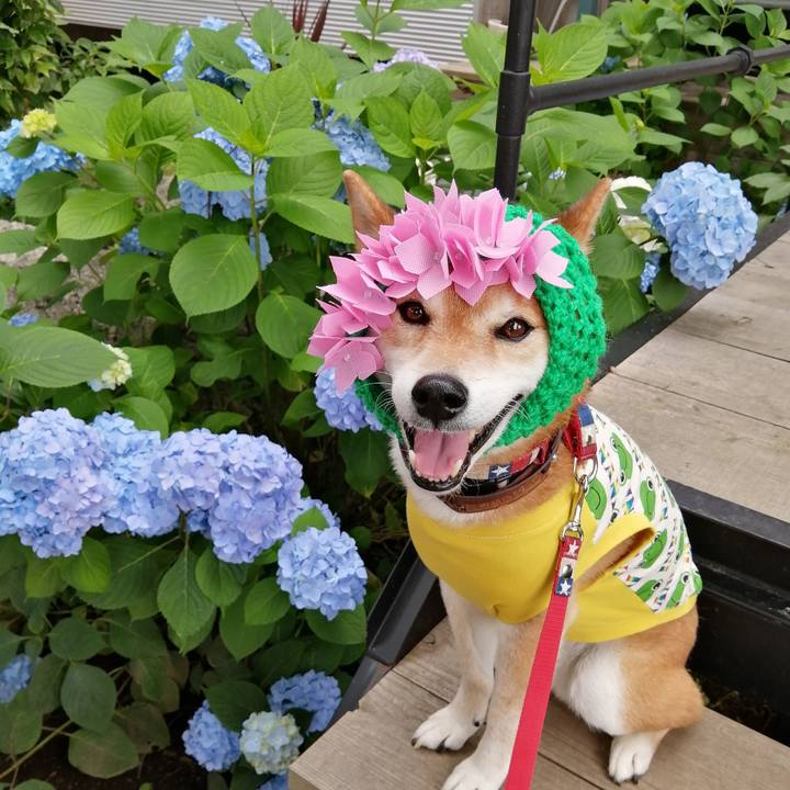 9518c995 f804 4414 a6c7 2f668b187fe0 1655567675159