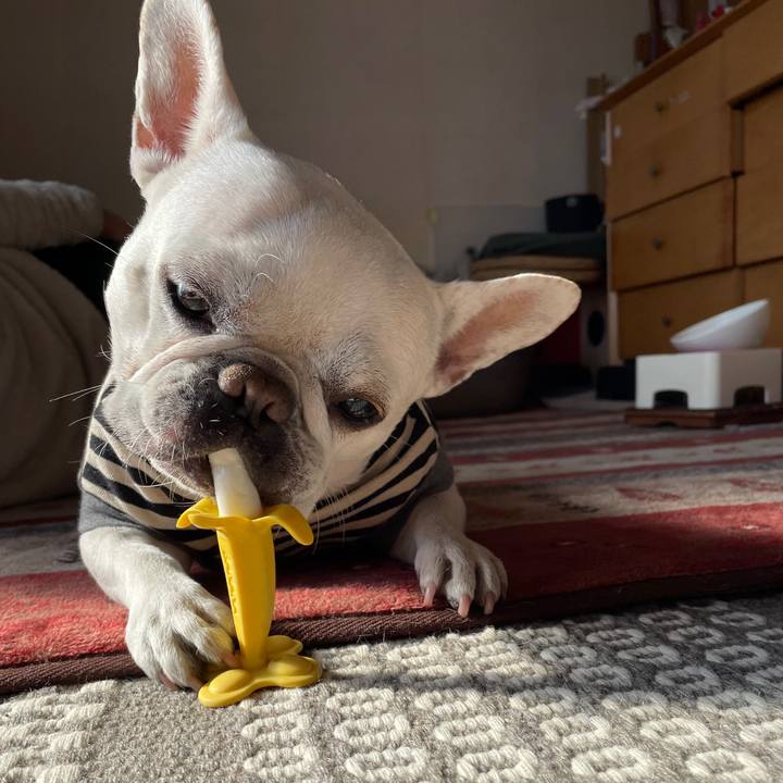 9518d9e1 7c18 43e4 a2cf 8aa6fb20fe43 1739486871748