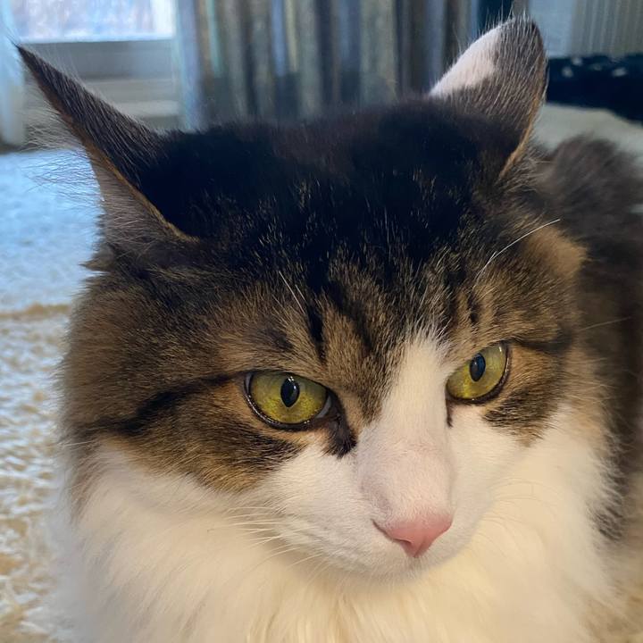 9518ea43 dd9f 4b5f a66f f80378944f53 1674263375753