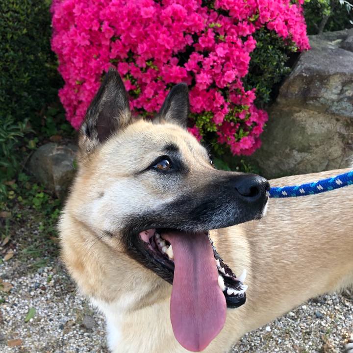 95190e4b 9139 44f9 a0fe 724b761ea49c 1524042360029