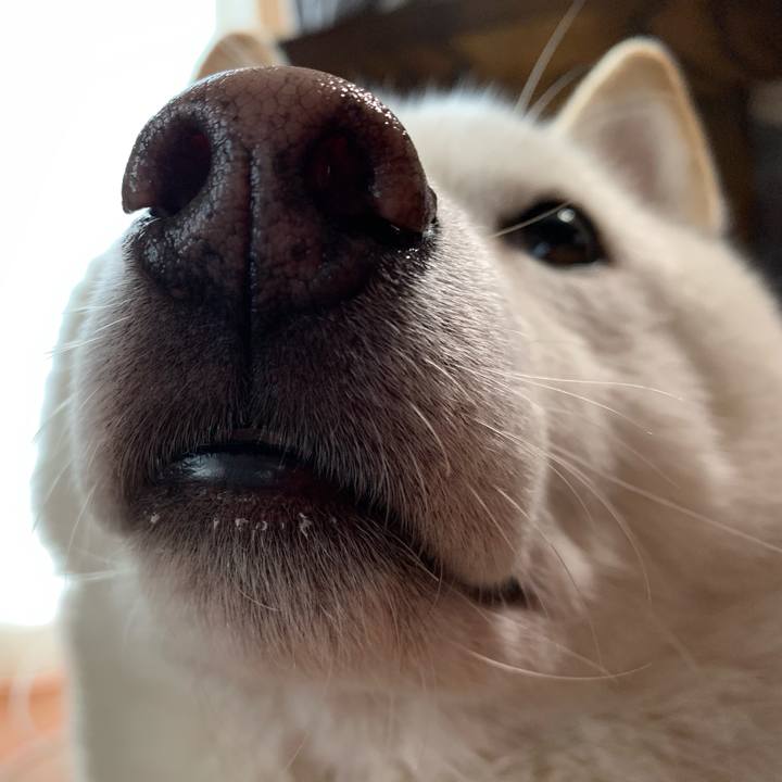 95190e87 364d 41e6 8586 d856f78596e6 1607731628136