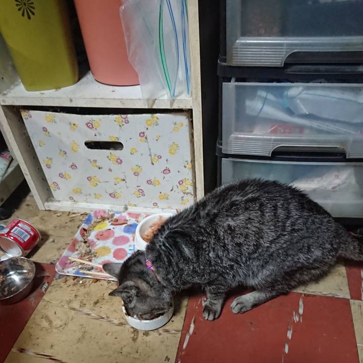 95193cee ee29 4165 9d48 4820915e953d 1580549602855