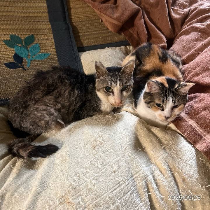 95194377 bd6e 49a1 b21b e899d686e7df 1758837476851