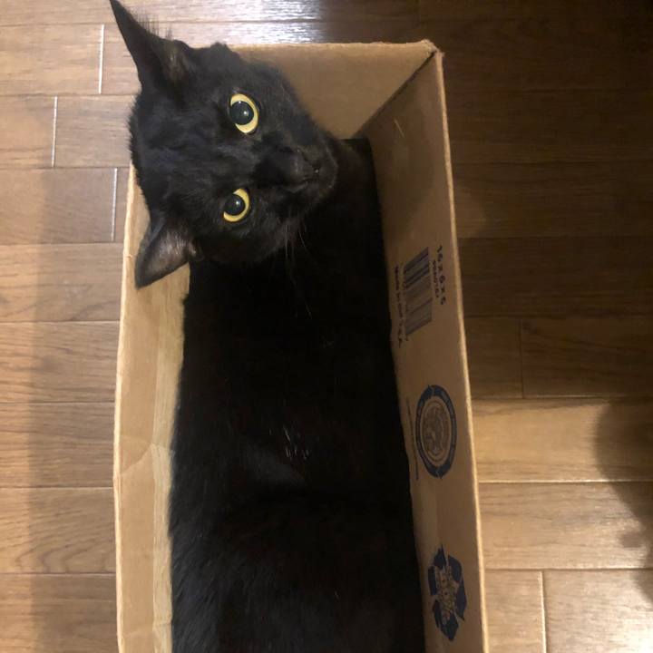 95194675 3c30 4d8c ae6d 5cd0ae1146ff 1617534274717