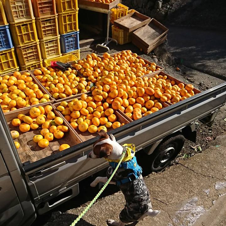 95194815 cc39 47b6 8697 692be2af7e2b 1576415749077