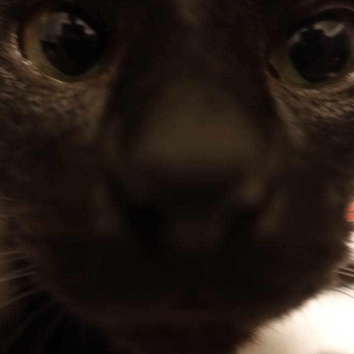 95194849 c113 4861 b279 cc9e4602e9fe 1525225347150