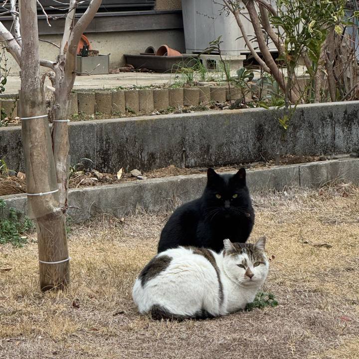 951949af 066f 4d6e 8dd2 a2614c5eb2e9 1772419872060