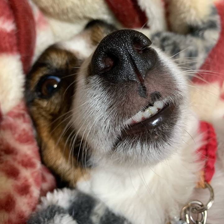 951965ae 2346 43f7 a967 3554de154aee 1606303947877