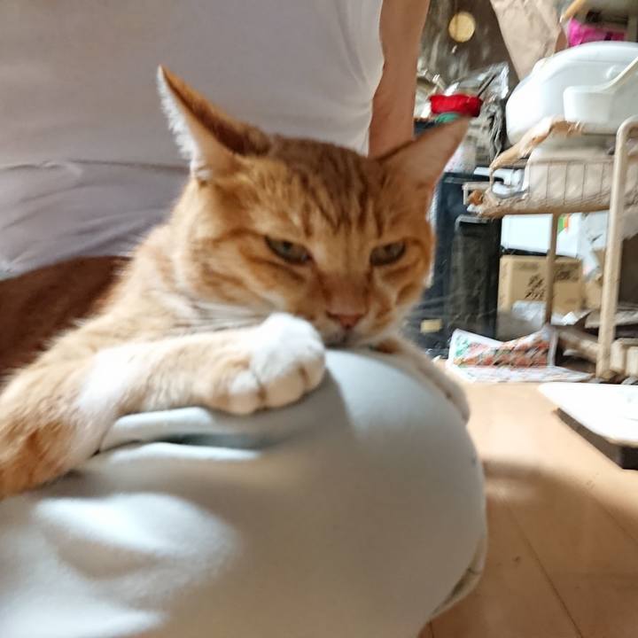 95196c63 714c 48a6 8ab9 2a6c7f84ba01 1599815322386