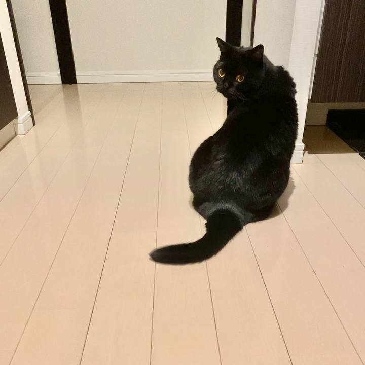 9519b929 fc58 4b3d a8f6 693f022f23c8 1698580972560