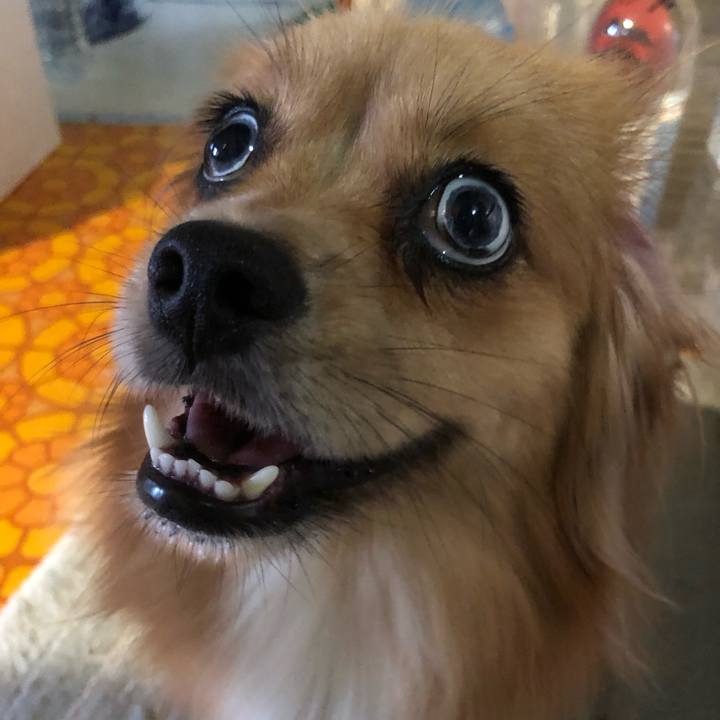 9519bebd 19ac 4af8 8d16 033ae79c6a8d 1532556529390