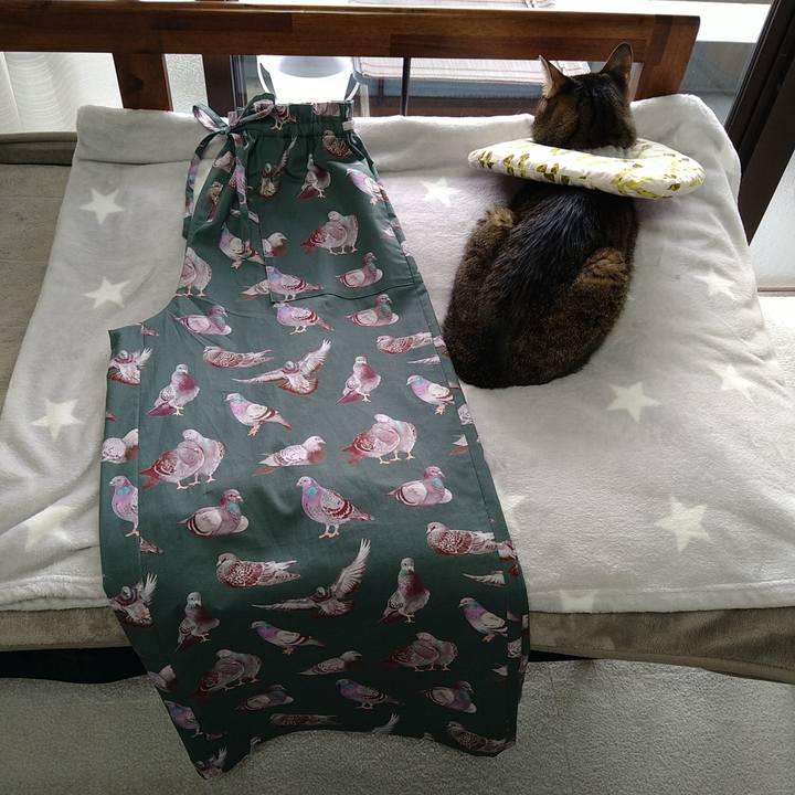 9519ca22 8136 4fa4 948d d67feedaf300 1738458310362