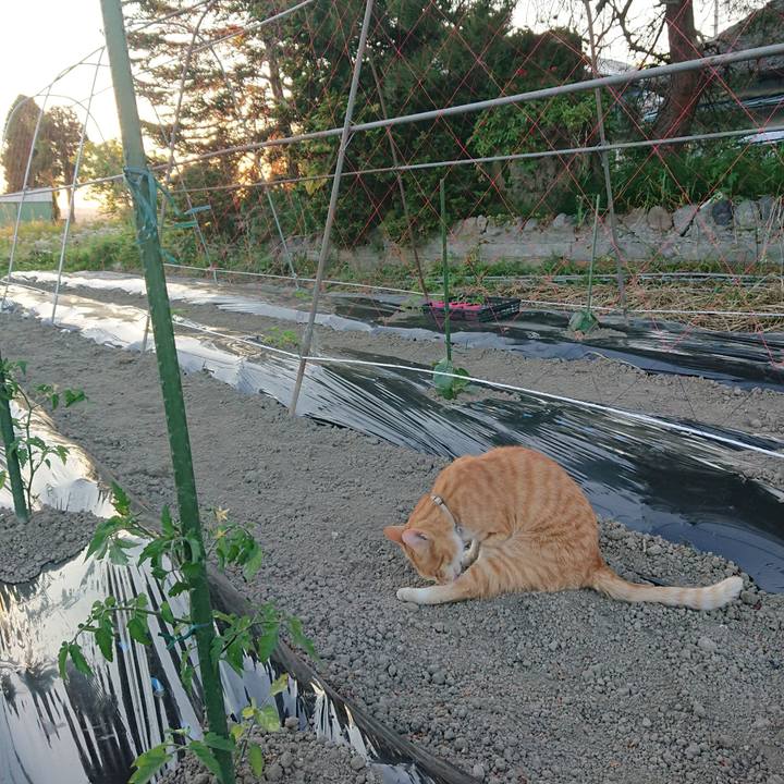 9519e2da 5932 4390 8448 da9b1af9f07c 1590831780932