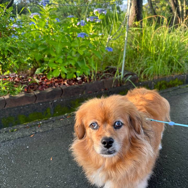 9519e473 f403 45ff b924 24a285461826 1719263959333