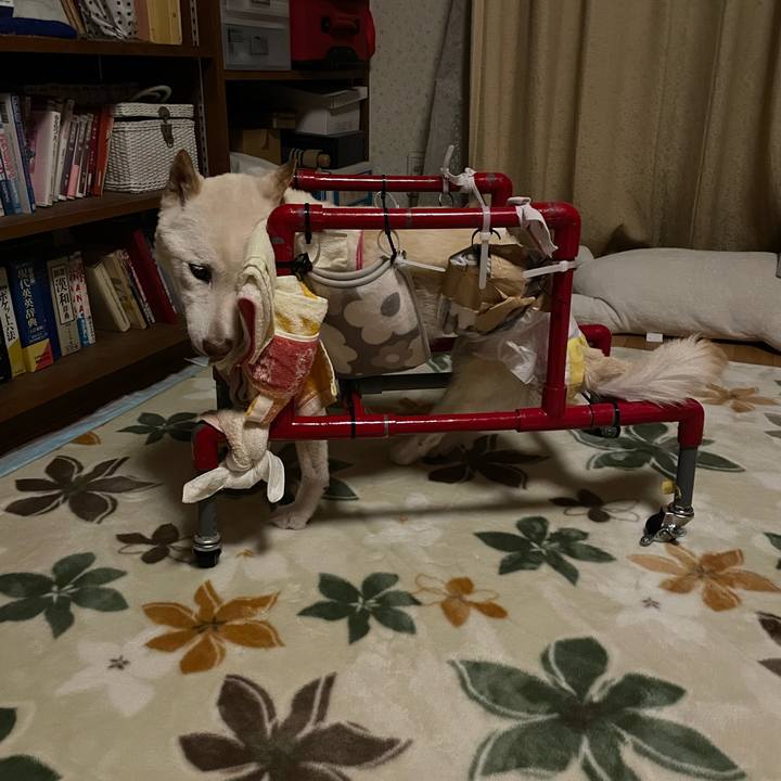 951a21cf e5f5 478b ae94 b73c34c8cf87 1670956823082