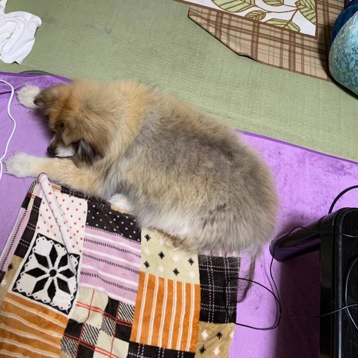 951a2444 ab50 4724 abe6 2076602817e7 1558873468593