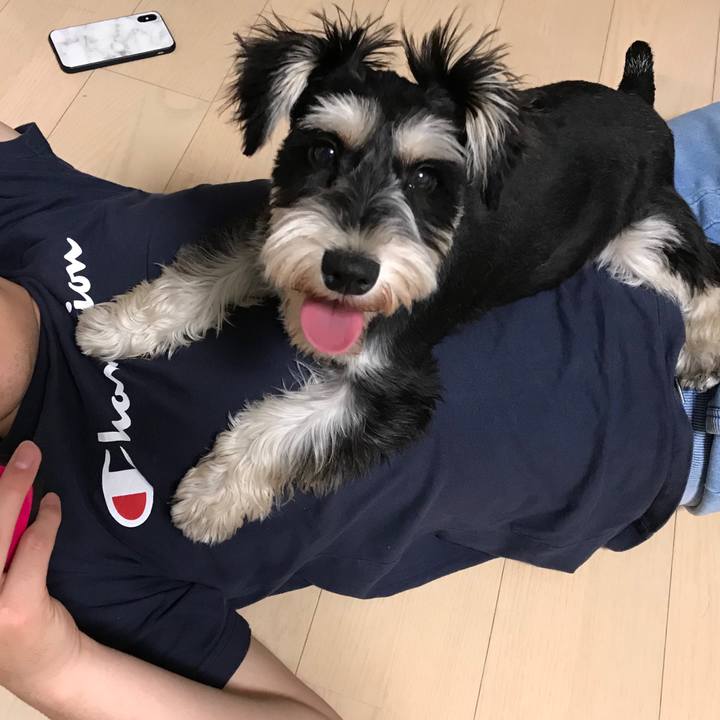 951a26e6 8ea0 4137 a7c0 783254b6f67c 1559750535738