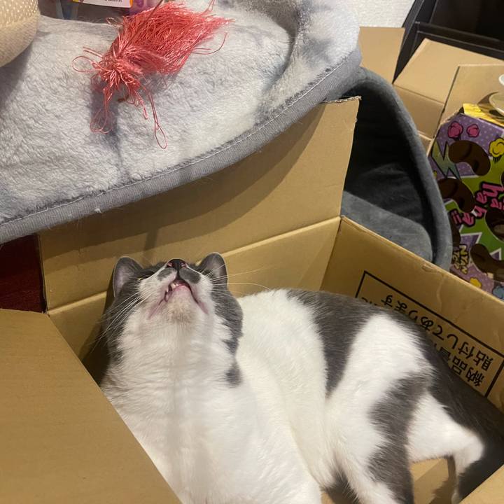 951a2d4d 3120 4189 8d9f 0d3bfb86ac71 1652364355059