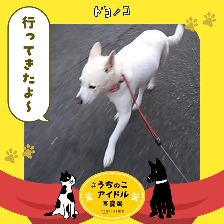 951a5835 7c14 48bb 8d88 88209f4ffb66 1761389884505