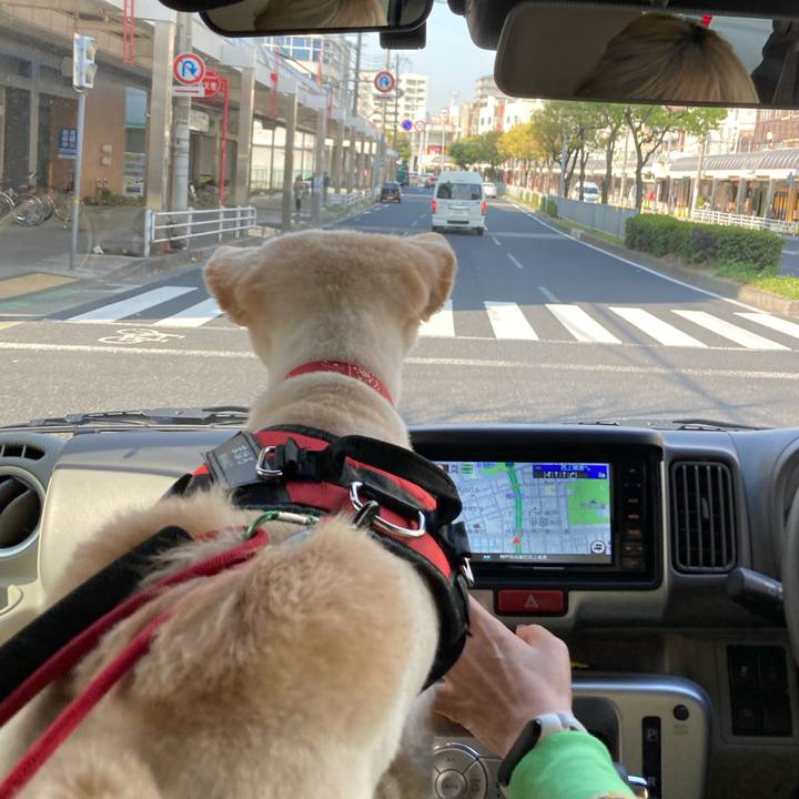 951a664e 9571 4ec2 a306 3e0d79253904 1680158704283