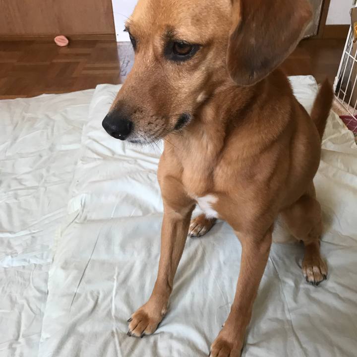 951a8077 85a3 47e8 be77 7a02c5cda413 1530595279479