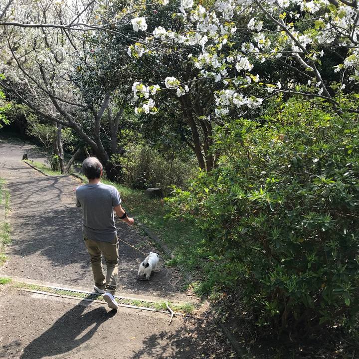 951a8baa e1a0 4da1 8ada 19d10cae5698 1522633960690