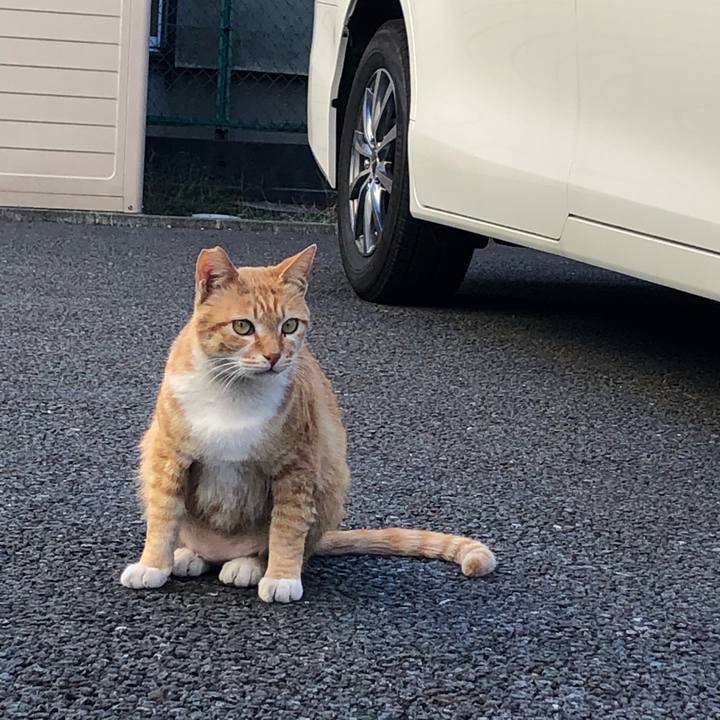 951a9065 118c 41ba a38e 78ca42a05dbe 1580742054250