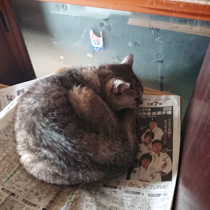 951a981c 1414 4e1c 905b 12c61140edaf 1568775334880