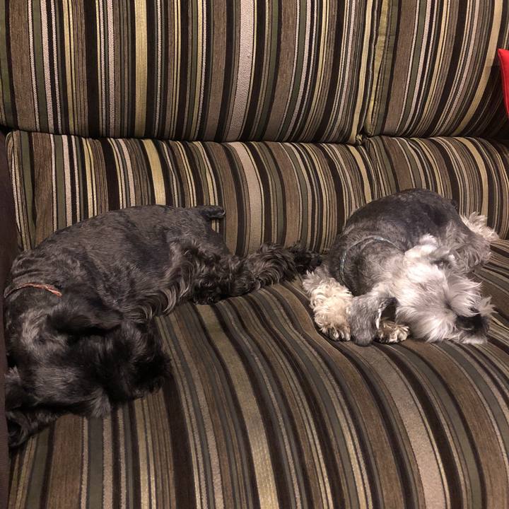 951ac58f bb5b 496e 8f97 7cea154b9856 1558877301854