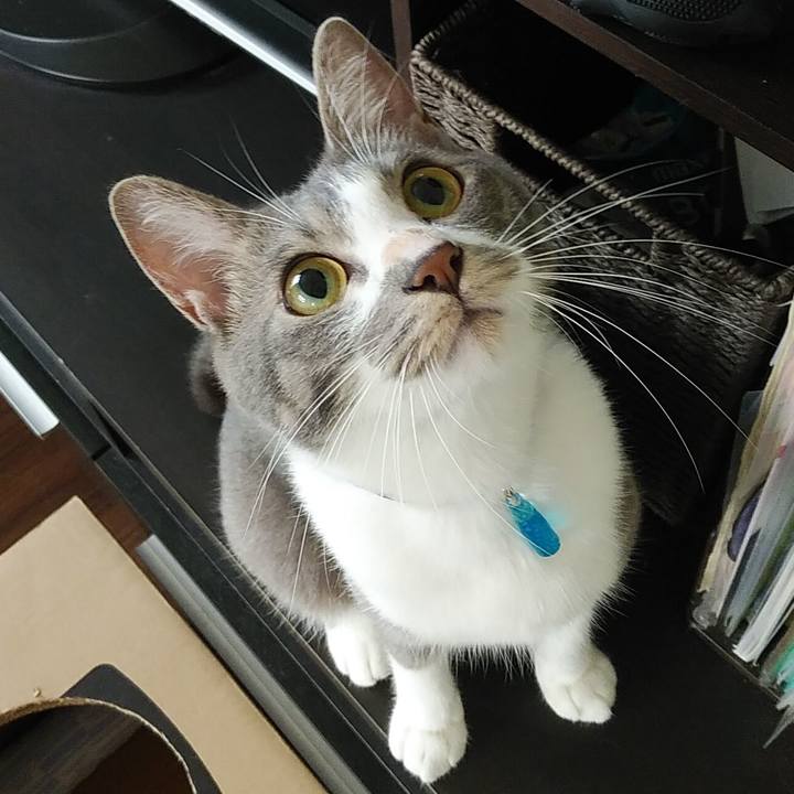 951aed09 5f89 4713 ba4c 0145f7ed50fe 1595117002538