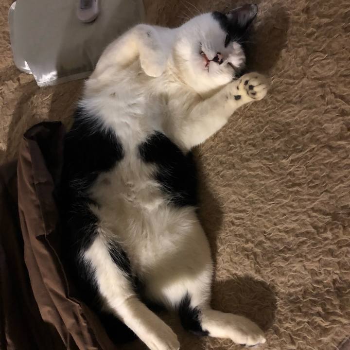 951b02fb da03 4d5c 969f e6571618c3d3 1549449810243