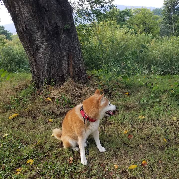 951b084e a7b5 4b08 9651 b941aa0d3e28 1725522190144