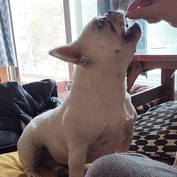 951b333d 76da 4f41 a3e8 5512194a86b2 1688081557533