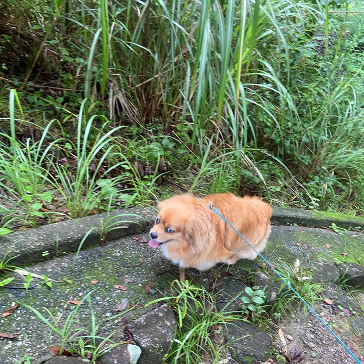 951b65b9 0cc3 46b7 be2a f54a8b5ee0cd 1657926412203