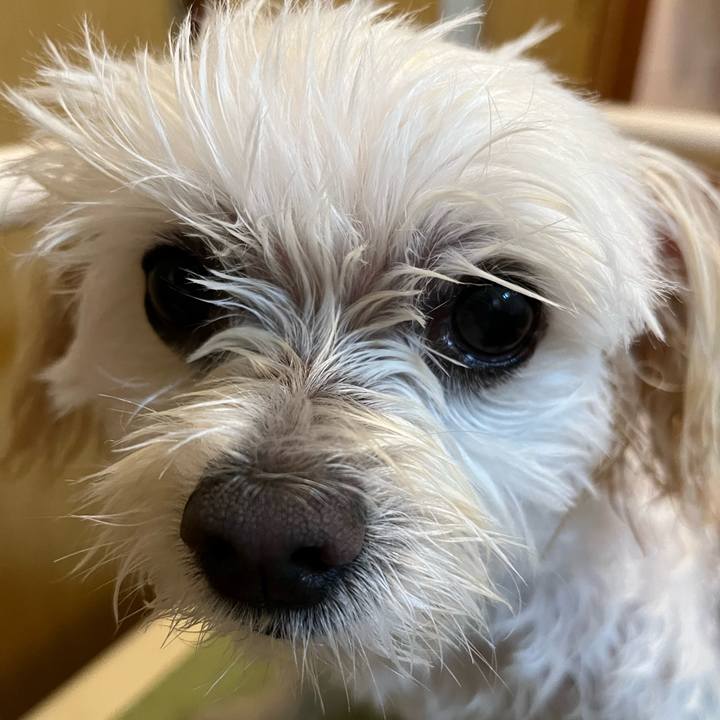 951bbaee 2909 4ddd a23c 51a5f4a0539a 1668413843833