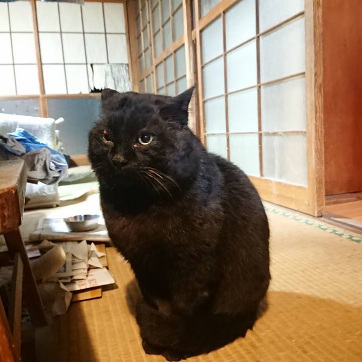 951c0308 dabf 4469 9082 f21b8c685ee2 1615723861453