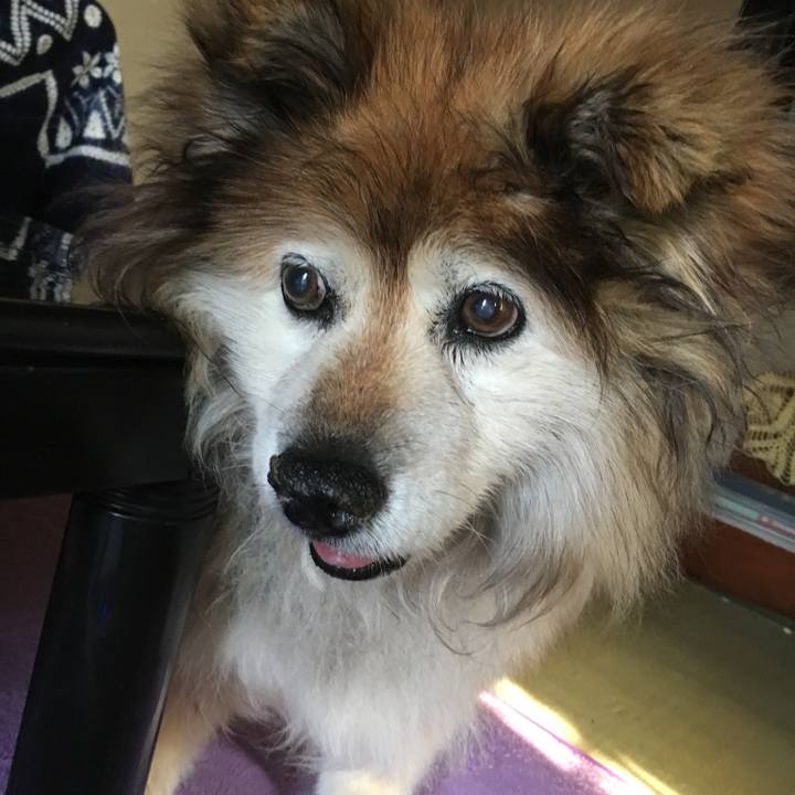 951c3348 9a6f 4a28 b426 d04eef4c7c56 1610494442175