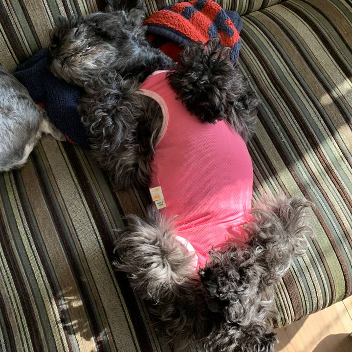 951c4e53 ebf2 4f5c 9c2a 87511db6dd3f 1603931612643